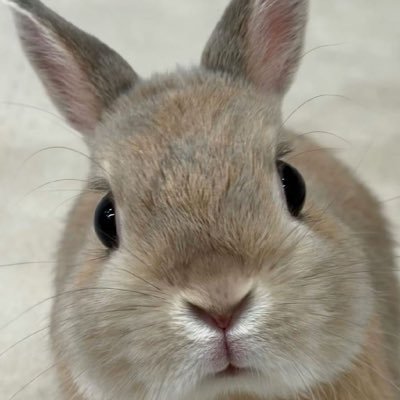 alikse77615's profile picture