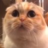 charly profil fotoğrafı