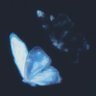 🇸🇦 مها's profile picture