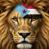 Фото профиля Southern Lion