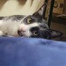 Luna's profile picture