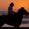 jasraj singh rajpurohit's profile picture