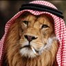 Фото профиля منصور العربي