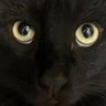 Profilbild von AkuGoesNowhere