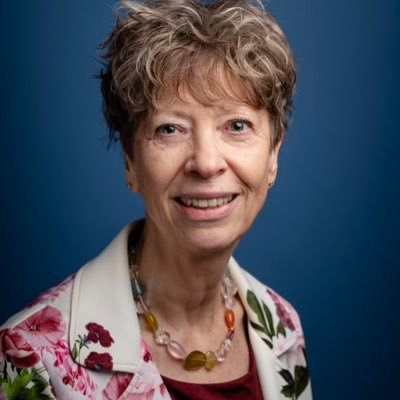MVerwijk's profile picture