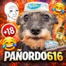 Pañordo_616 profil fotoğrafı