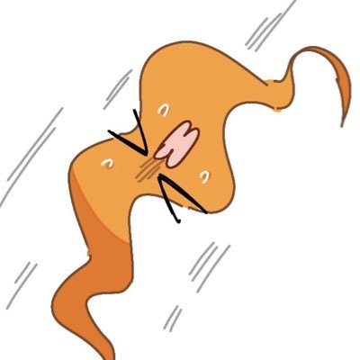 コンソメわっしょい's profile picture