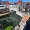 ドメインズ 的头像