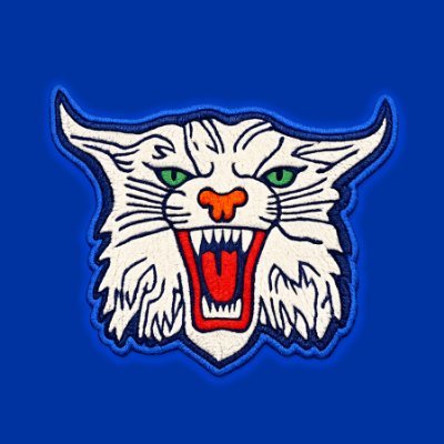 Rare Rookies's profile picture