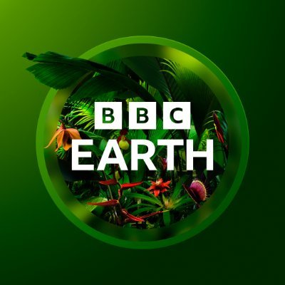 BBCEarth's profile picture