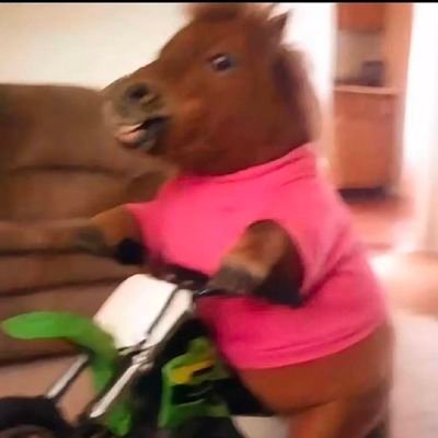 wfstulya2023's profile picture