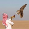 Profilbild von Mohd Al-Matar مُحُمّد آل مطر