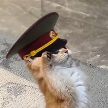 سرباز ارتش شاهنشاهی's profile picture