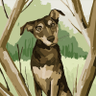 Sonika k's profile picture