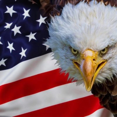 MSN1019's profile picture