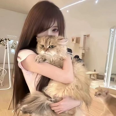 6OiiRTnVPV49272's profile picture