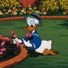Profilbild von Donald D Duck | Premium +