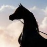 عبدالله's profile picture