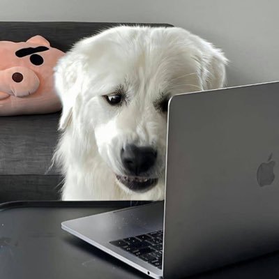 มำ.'s profile picture