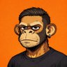 Sal's profile picture