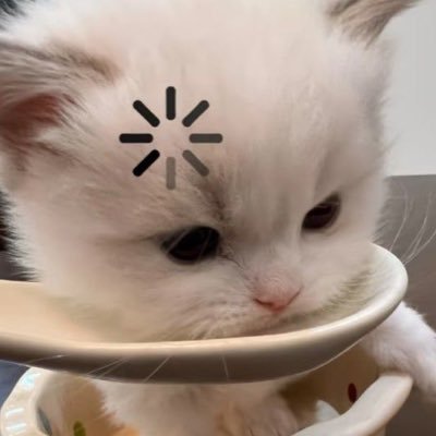 Chaya_ppn's profile picture