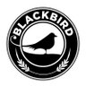 Blackbird Cafe's profile picture