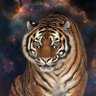 Tiger alpha 的头像
