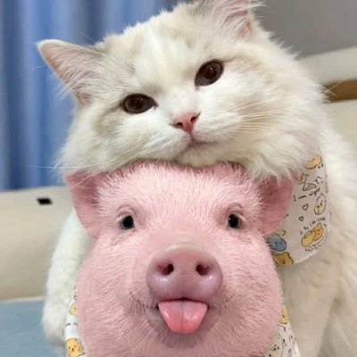 bass_bp19's profile picture