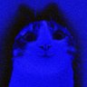 lil blu profil fotoğrafı