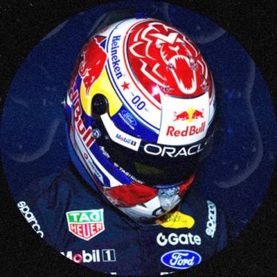 Max Verstappen Brasil's profile picture