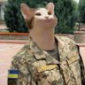 Profilbild von LїckLїck🐈fellacat