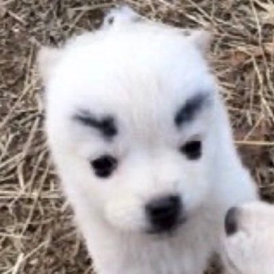 Dwand11783's profile picture