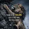 Lion1892's profile picture