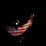 Adam Blevins's profile picture