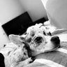 Profilbild von Tia
