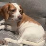 Profilbild von Pupedawg