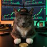 Dexter | Bitcoin 的头像
