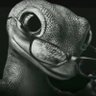 Dee's profile picture