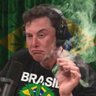 Patriota 🇧🇷 的头像