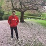 Simon Wilson profil fotoğrafı