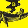 ObwanWhale5 的头像