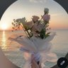 ♔ ندوي.♔'s profile picture