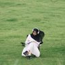 Raina's profile picture