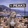 MR. Peaks's profile picture