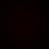 Alex profil fotoğrafı