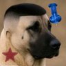 charlie ! 💧 (saw iron lung 8x) profil fotoğrafı