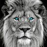 Profilbild von Masoud Parvizi