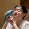 Clement白丁儿 profil fotoğrafı