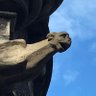 Humphrey Dumphrey profil fotoğrafı