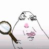 obsSt's profile picture